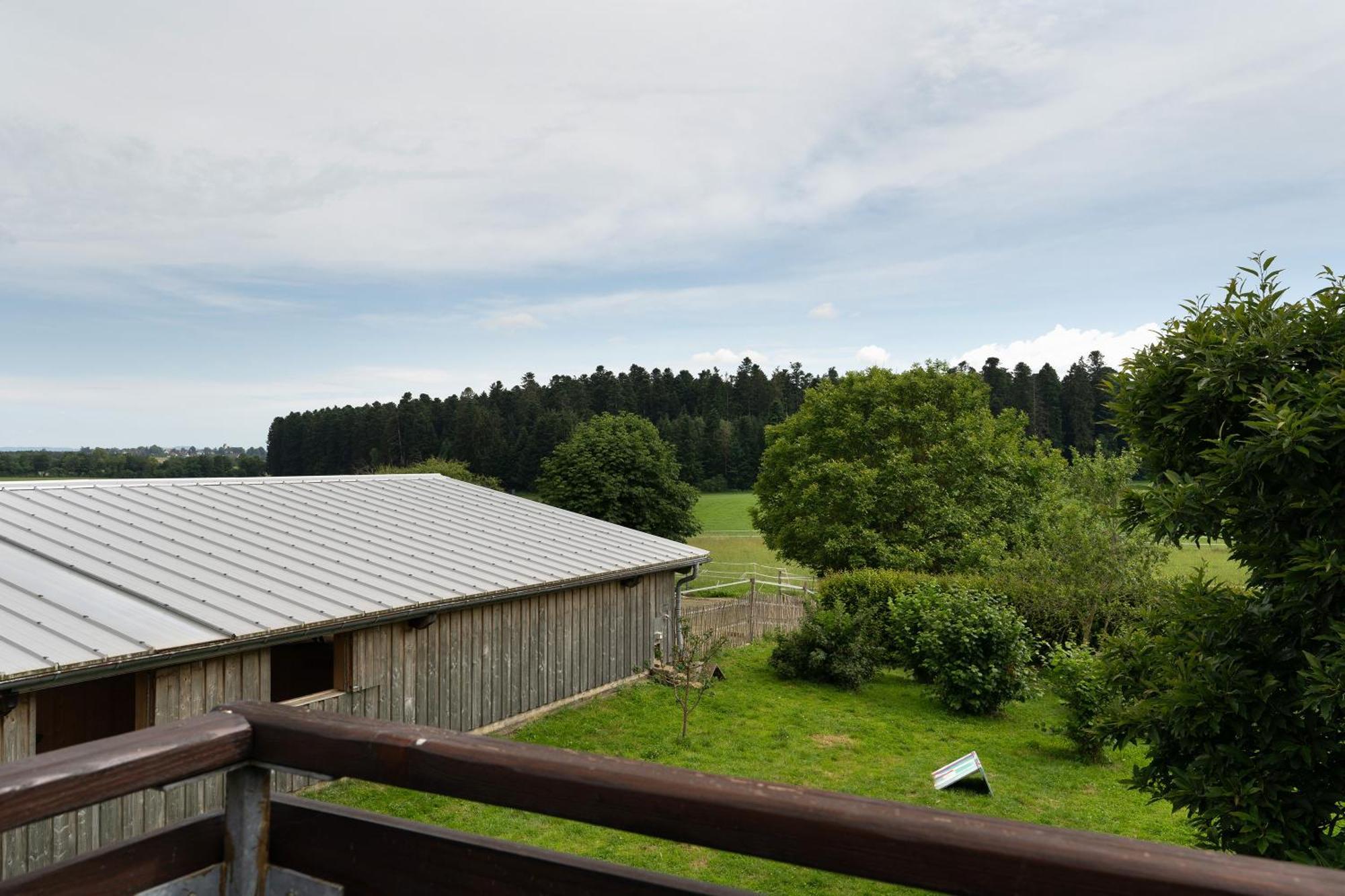 Fewo Naturliebe - Keine Monteure Dornhan Exteriör bild